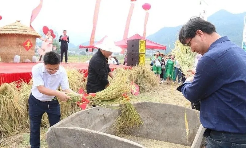 歡慶豐收2_副本