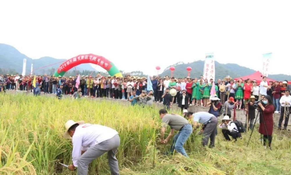 歡慶豐收8_副本