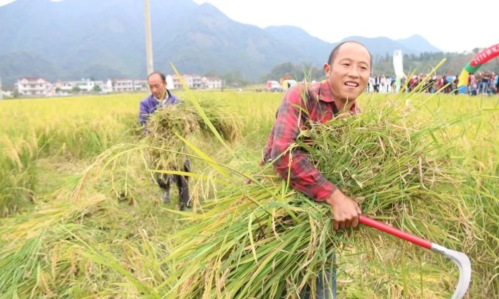 歡慶豐收9_副本