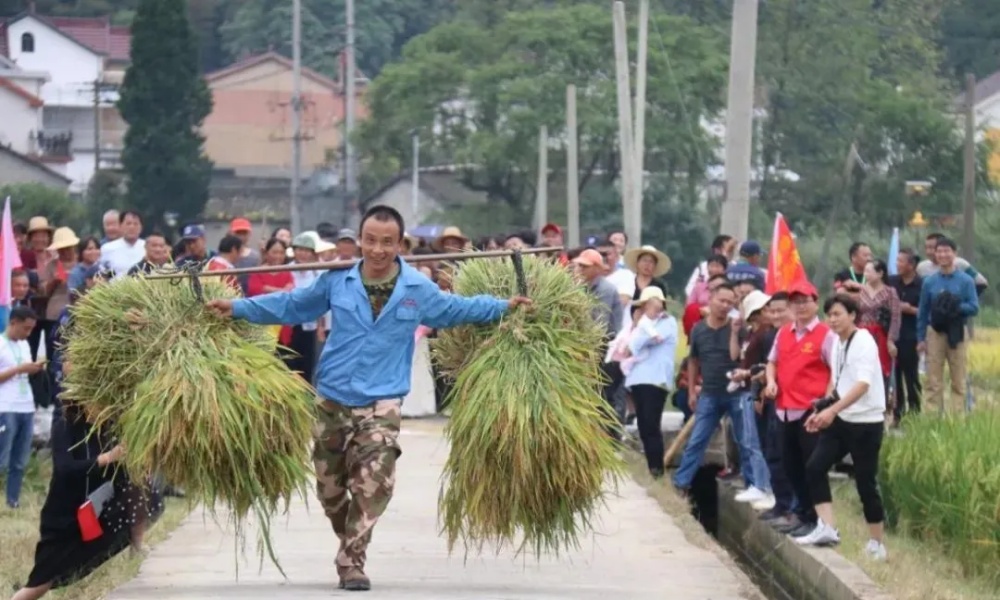 歡慶豐收10_副本
