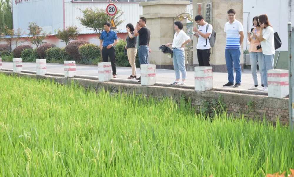 農業大學1_副本