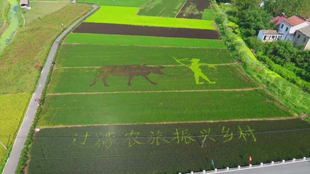 工廠大門前農夫牽牛稻田畫_副本