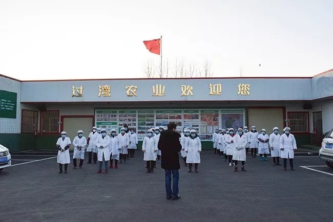 抗擊疫情3_副本