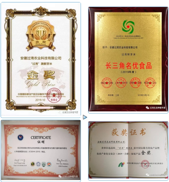 交易會7 交易會7