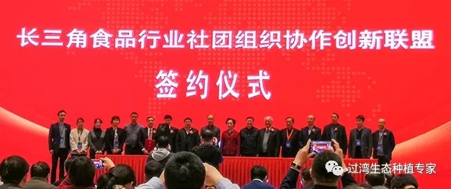 峰會2_副本 峰會2_副本