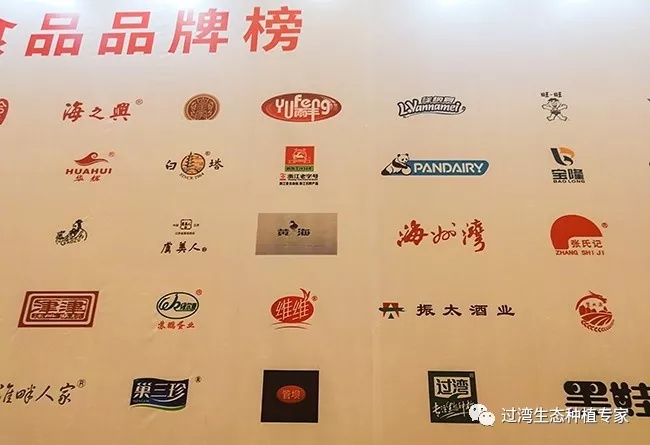 峰會5_副本 峰會5_副本