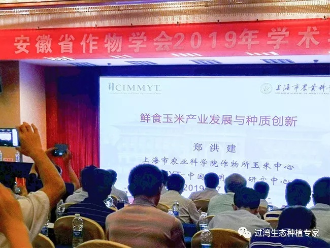 作物學會6_副本