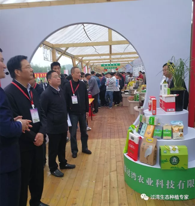 旅游節9 旅游節9