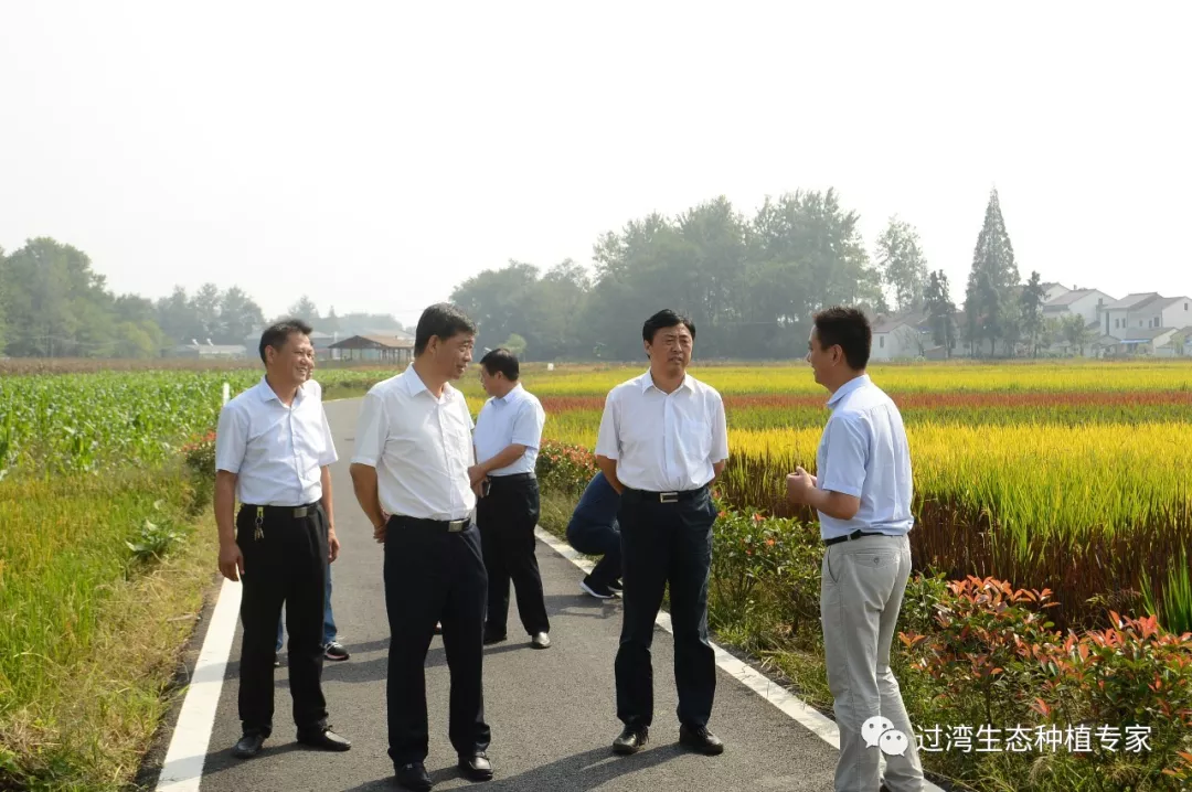 孫云飛11 孫云飛11