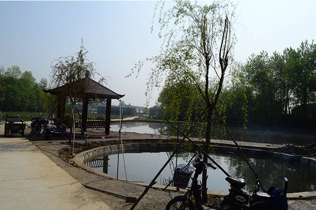 在建項目：農業展示長廊