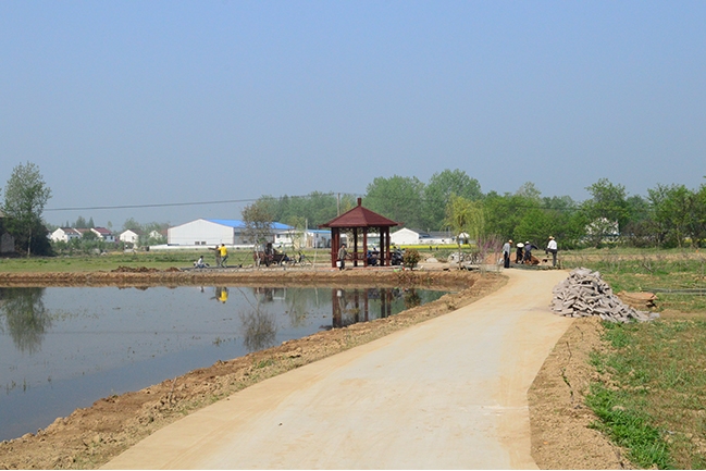 在建項目：農業展示長廊1