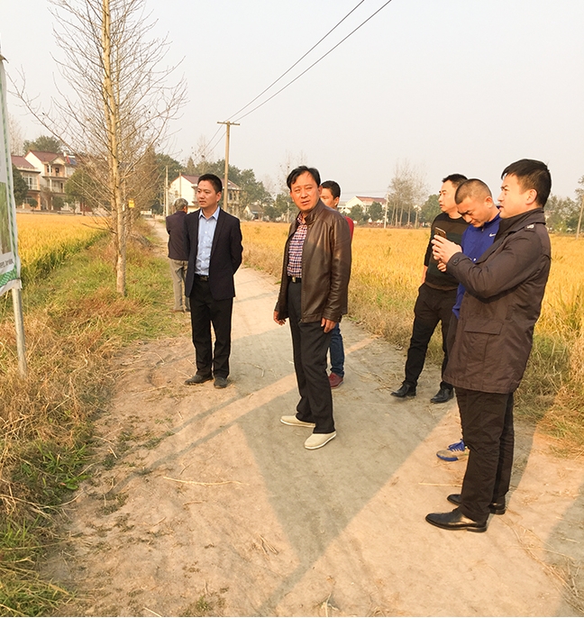 先試先行1 先試先行1