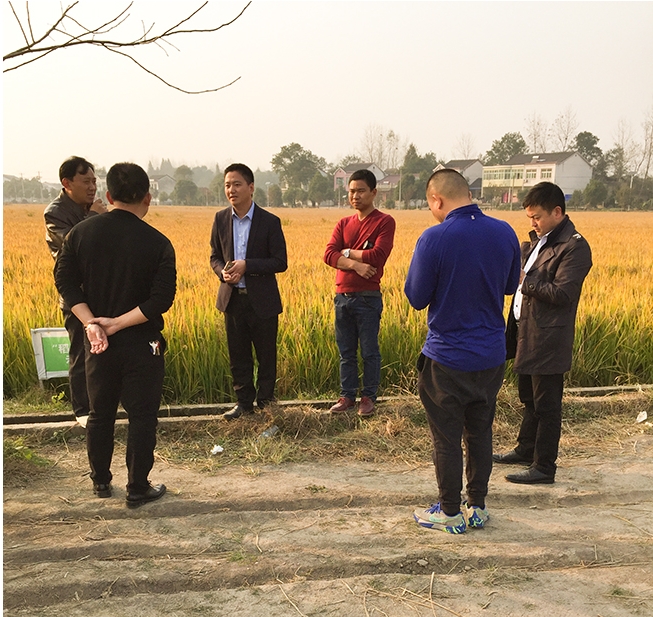 先試先行2 先試先行2