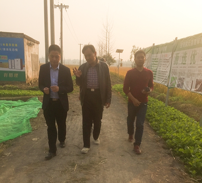 脫貧致富路1 脫貧致富路1