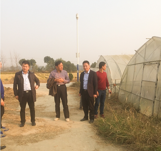 脫貧致富路2 脫貧致富路2