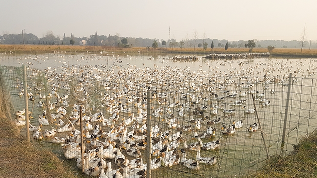 在路上2 在路上2