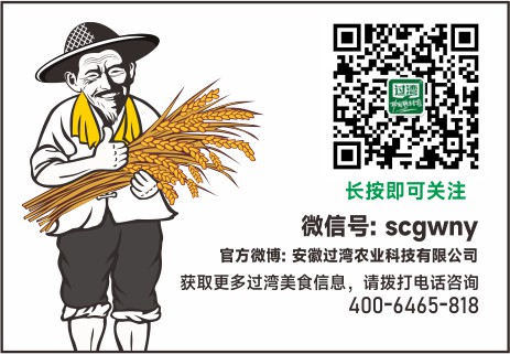 公眾號底圖 公眾號底圖